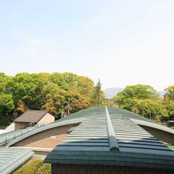 携程酒店 京都花园皇宫酒店 Kyoto Garden Palace 预订 京都花园皇宫酒店 Kyoto Garden Palace 价格 点评 电话 地址查询 携程旅行手机版
