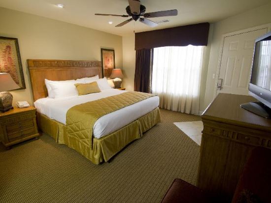 The Suites at Fall Creek Room Type - Studio