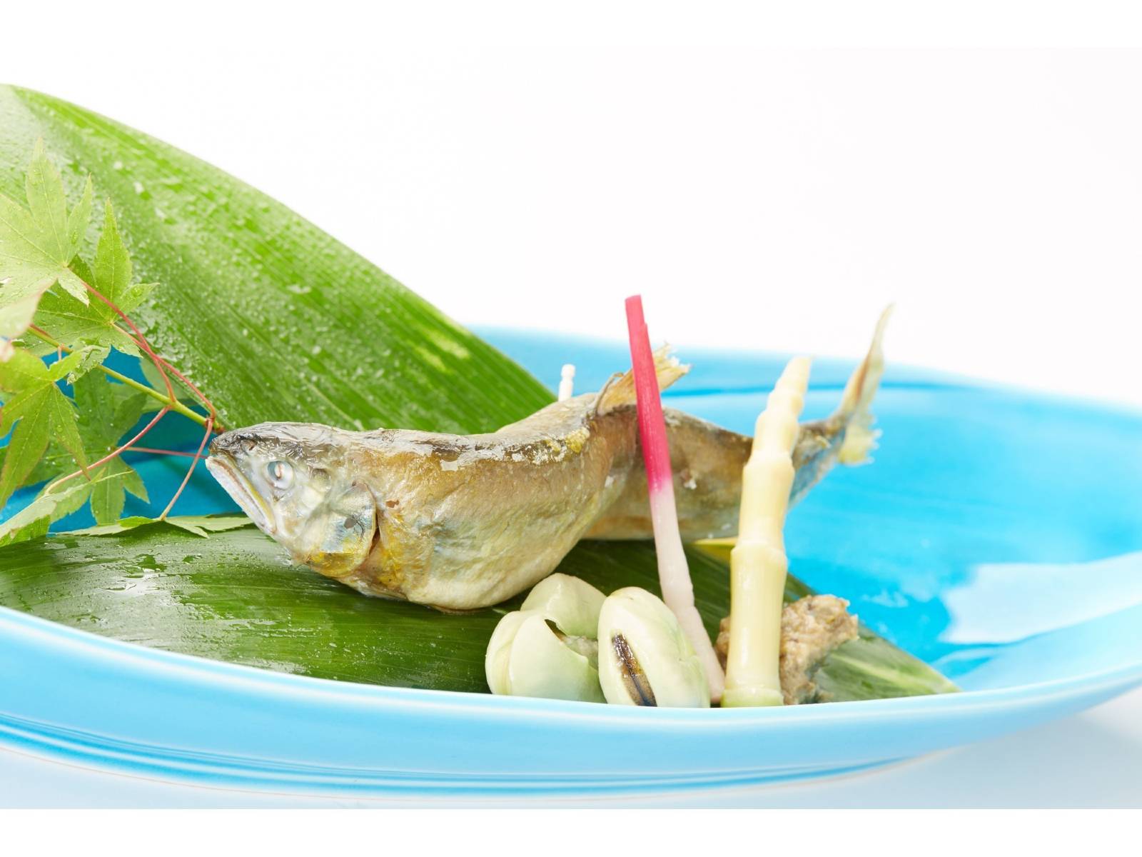 若竹荘预订及价格查询携程海外酒店ryokan Wakatakeso - 