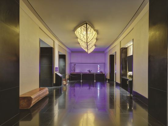 Delano Las Vegas At Mandalay Bay Las Vegas 1 0 0 6 1 9 8 6 Price Address Reviews