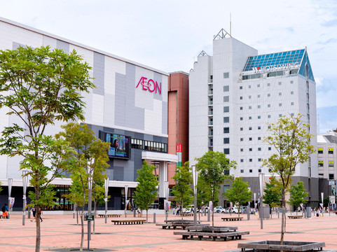 Hotel Wing International Asahikawa Ekimae