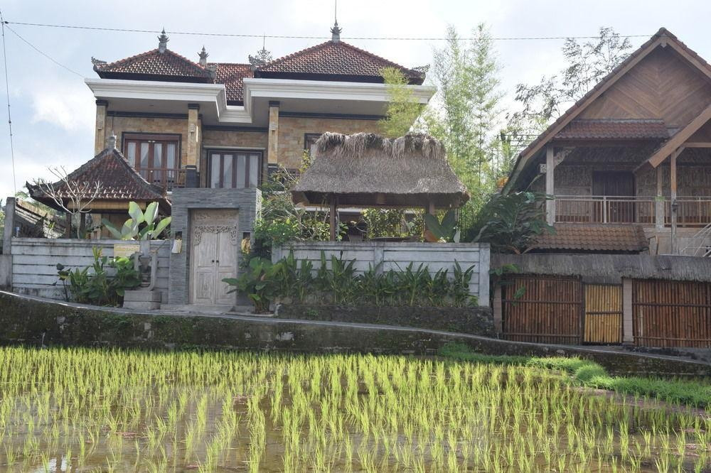 乌布稻田家庭旅馆