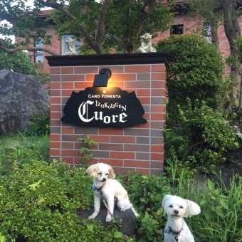 携程酒店 伊豆高原酒店 Caro Foresta Izukogen Cuore 预订 伊豆高原酒店 Caro Foresta Izukogen Cuore 价格 点评 电话 地址查询 携程旅行手机版