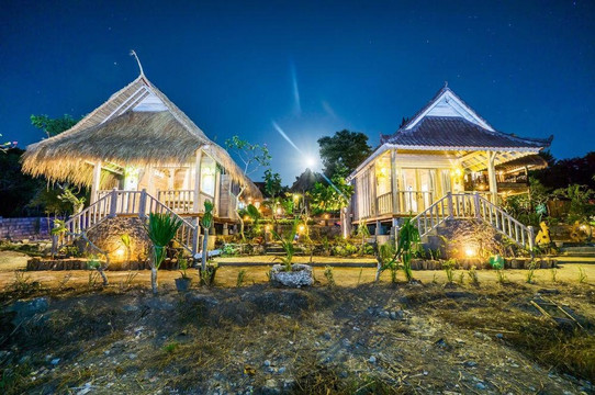 努沙切宁安岛酒店住宿-The Dafish Ceningan