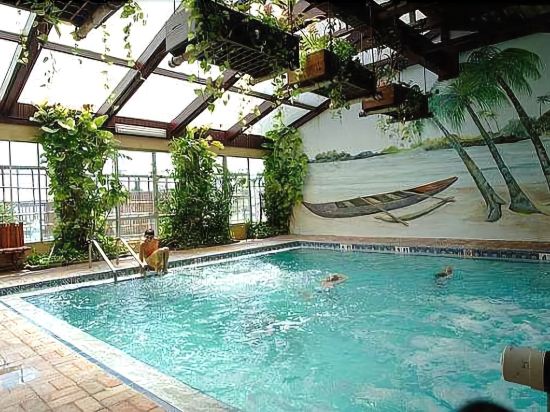 Hawaiian Inn Daytona Beach By Sky Hotels And Resort Volusia Daytona Beach By Sky Hotels And Resort