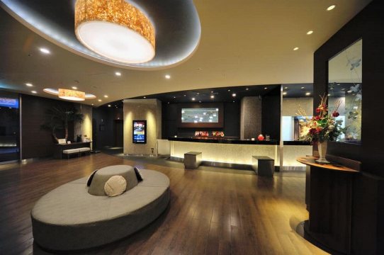 涩谷神宫前多美迎高级酒店(多美迎・御宿野乃 酒店集团)-官方