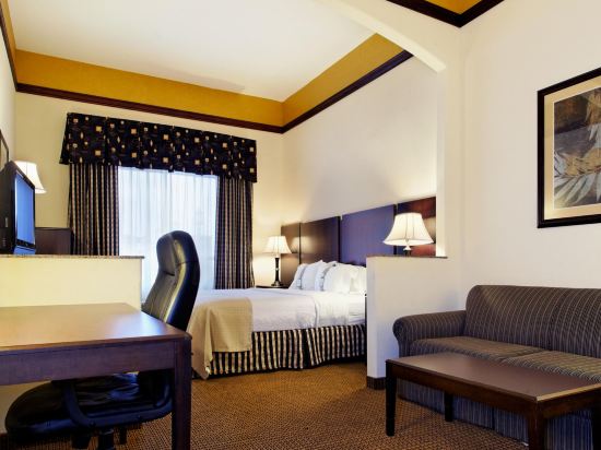 Holiday Inn Odessa, an IHG Hotel Room Type - 1 King Bed Standard Sofa Bed