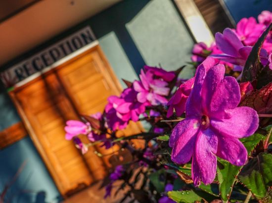 Birds N Bloom Cottages Tablelands Price Address Reviews