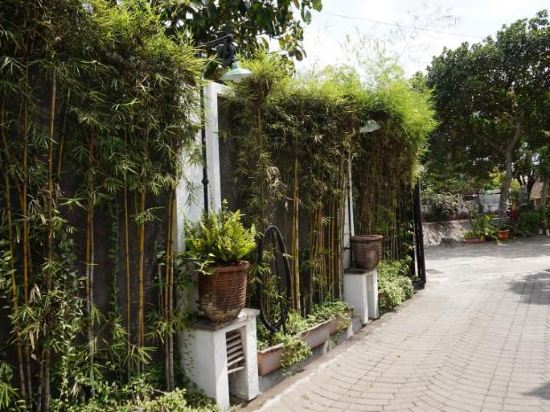 Bedjo Dasinem Yogyakarta Homestay Price Address Reviews - 