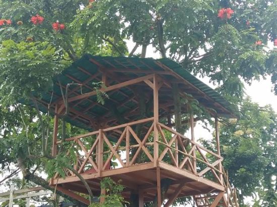 28+ Villa Hijau Taman Safari PNG