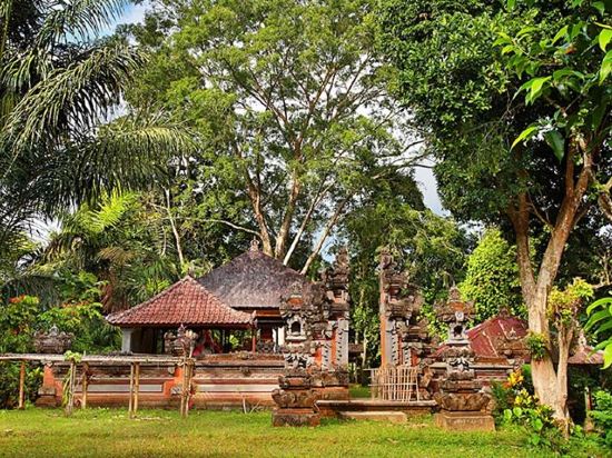 15+ Nandini Jungle Resort And Spa Bali Images