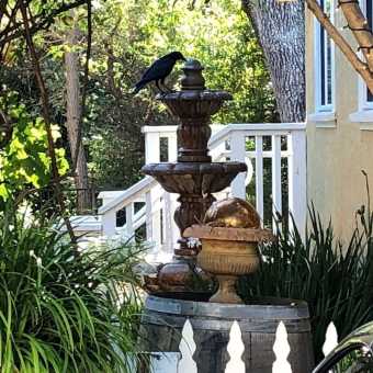 携程酒店 格伦艾伦秘密小屋宾馆 Glen Ellen Inn Secret Cottages 预订