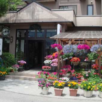 携程酒店 白马花乃乡酒店 Hakuba Hotel Hana No Sato 预订 白马花乃乡酒店 Hakuba Hotel Hana No Sato 价格 点评 电话 地址查询 携程旅行手机版