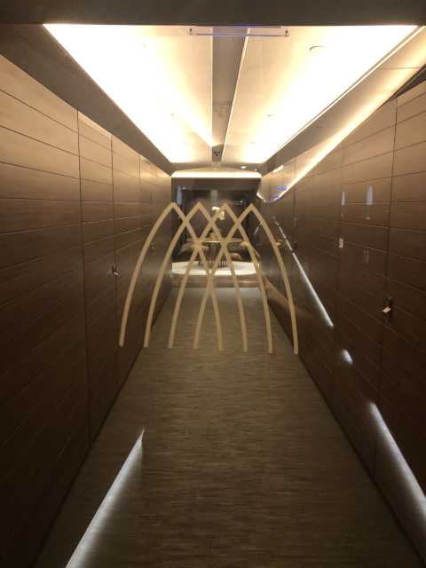 点评 怎么样 携程旅行