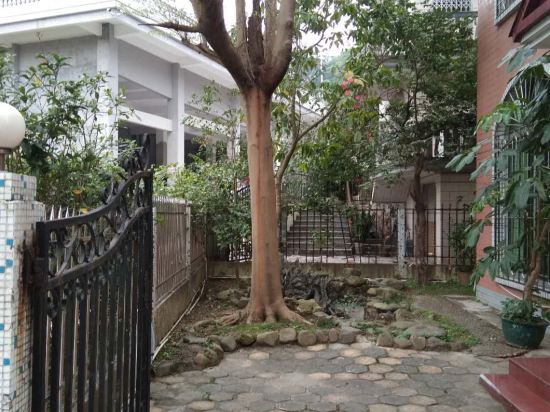 肇庆鼎湖31栋别墅