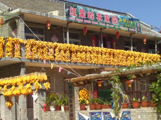 辉县红果岭农家院