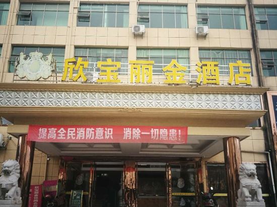 乐安欣宝丽金大酒店