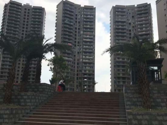 靖西佳辰山水民宿