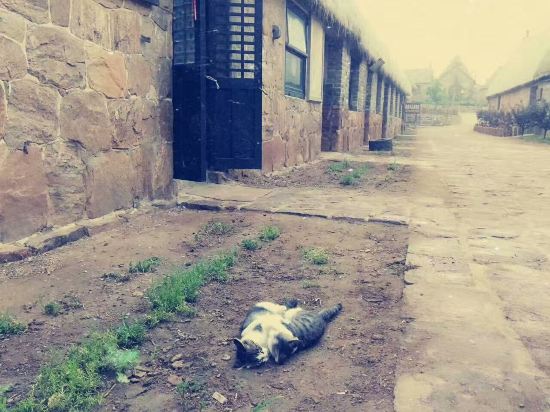 荣成离海很近的2层别墅