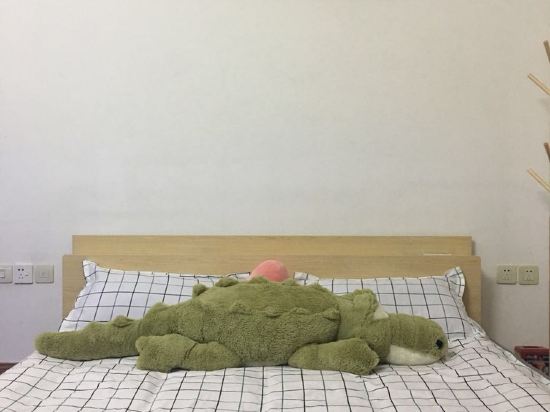 泉州树鹰太空舱客栈