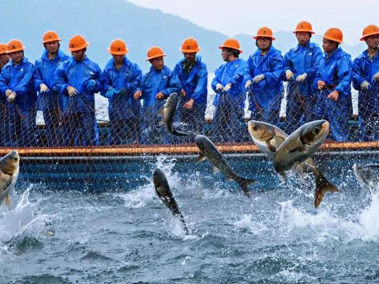 杭州PANDA 度假度假别墅(千湖岛进贤湾分店)