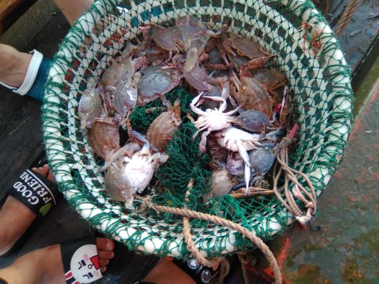 费君民宿(岱山高东线店)