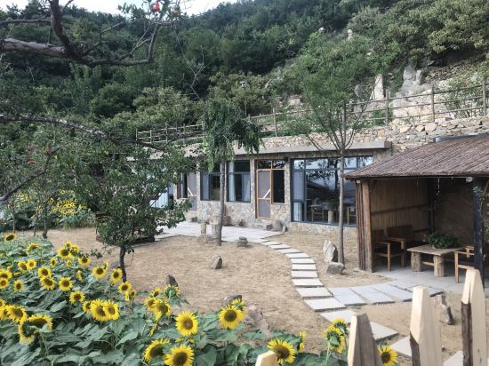 费县梵心听雨民宿