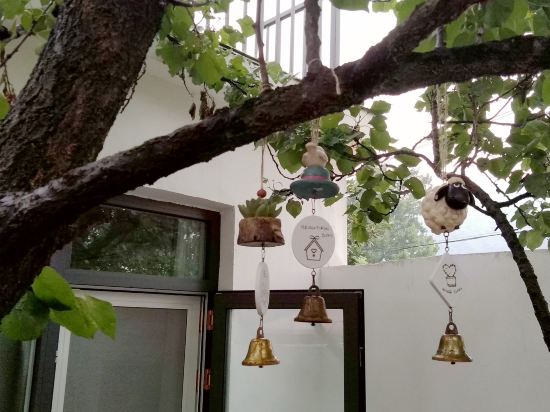 连云港花果依舍民宿