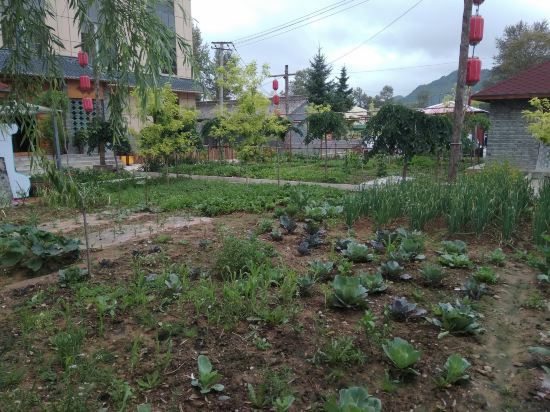 渭源竹寨园农家生态山庄