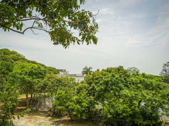 博罗罗浮山莫洞果园农庄