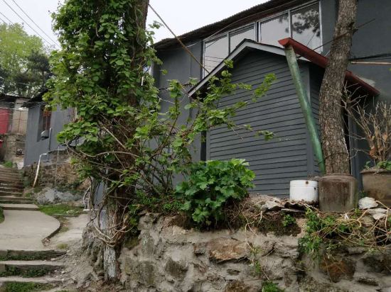 庐山三合茶舍民宿