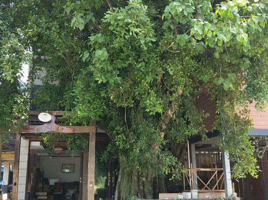 西双版纳木子小舍