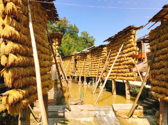 从江顺心农家乐