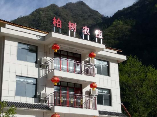 神农架柏树农庄