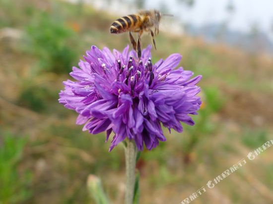 贵阳拾年青年旅舍