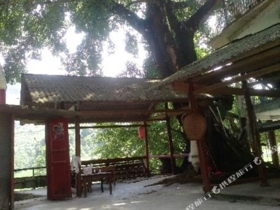 广南大榕树下民宿