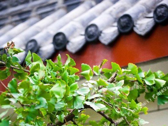 街子古镇古月人家客栈