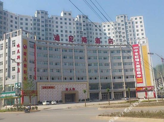 嵩县迪尼斯酒店