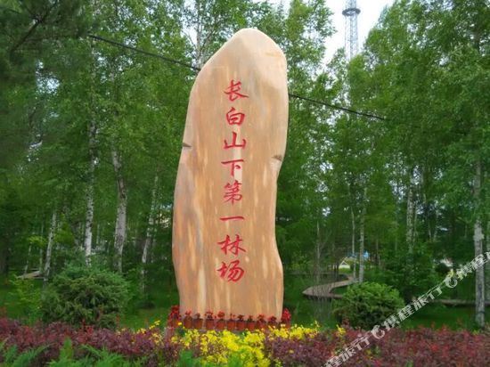 长白山佳琪家庭旅店