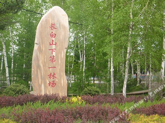 长白山黄松蒲绿色农家院家庭旅店