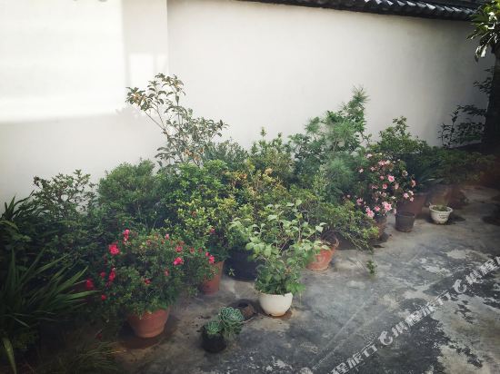 大理阳光小院客栈