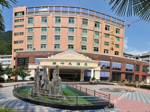 镇巴绿叶大酒店