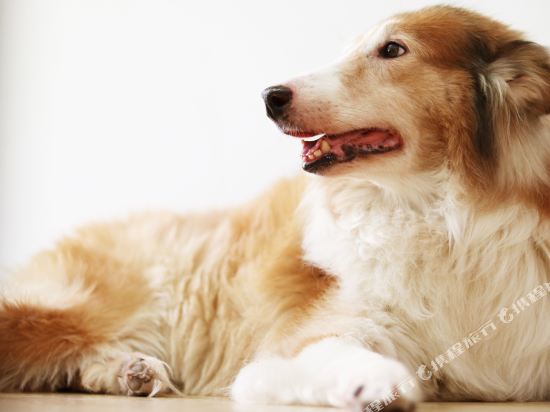 桂林翻滚吧动漫青年旅社