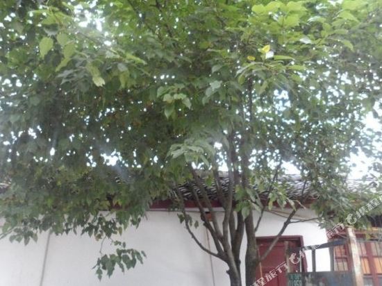 青川春满园农家乐