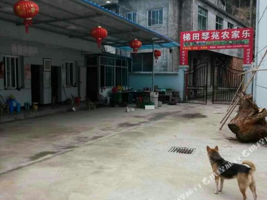 云和梯田琴苑农家乐