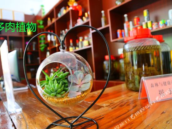 永嘉森林梦民宿