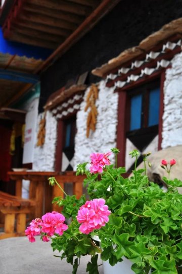 丹巴郎太家-官方