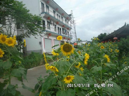 歙县茗峰苑农家乐