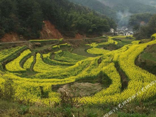 黄山秋霞农家乐