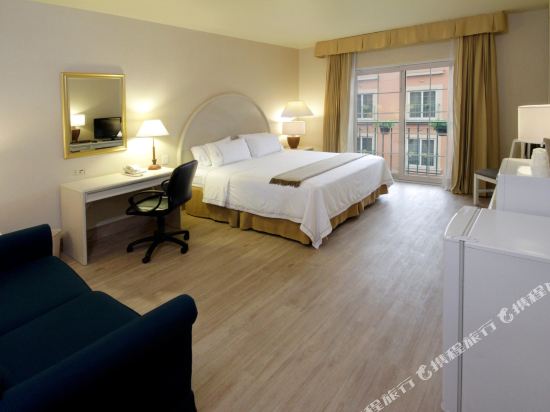 Holiday Inn Express TORREON Room Type - 1 King Standard Sofa